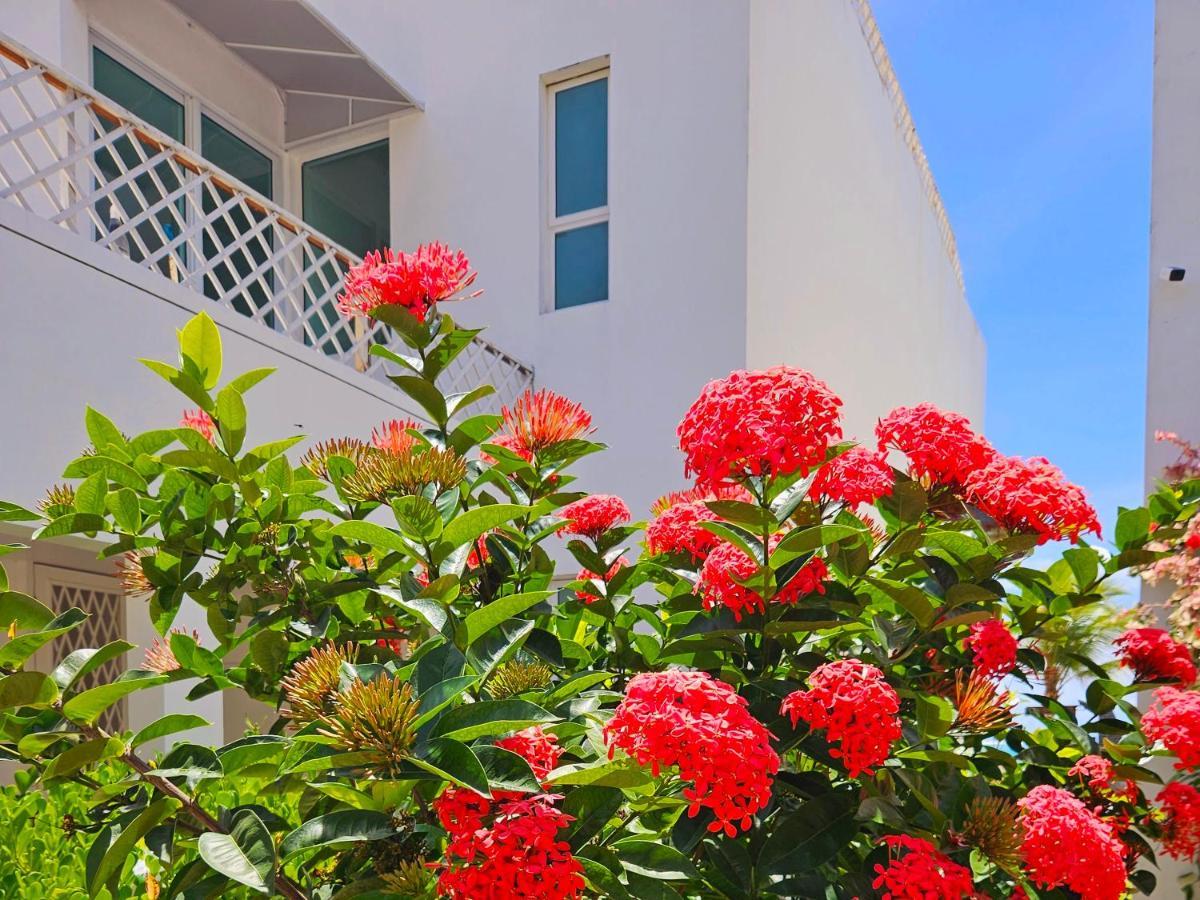 Romantic Sea W/amazing Sea View - Directly On The Beach! Pousada Maceió