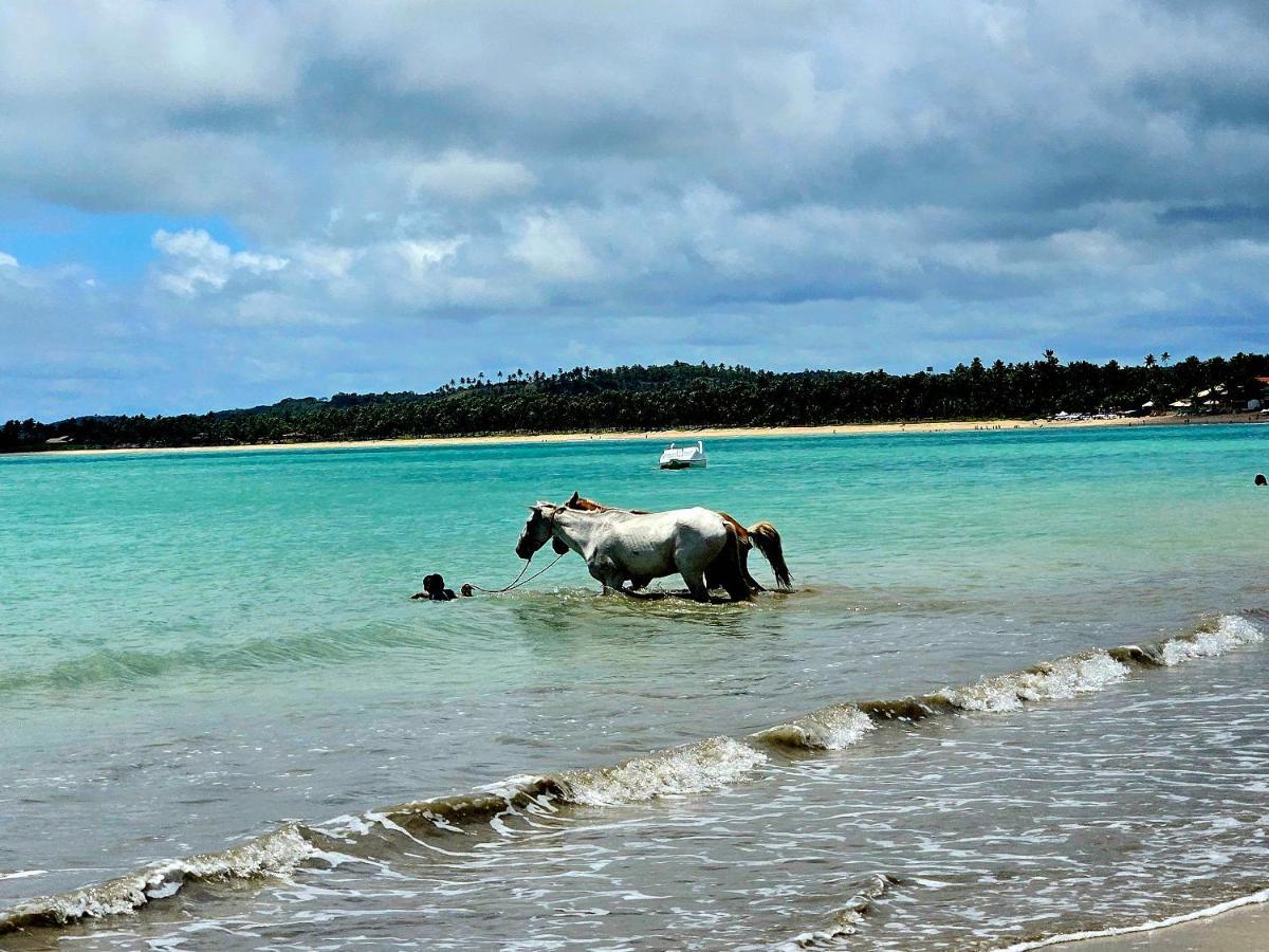 Romantic Sea W/amazing Sea View - Directly On The Beach! Maceió