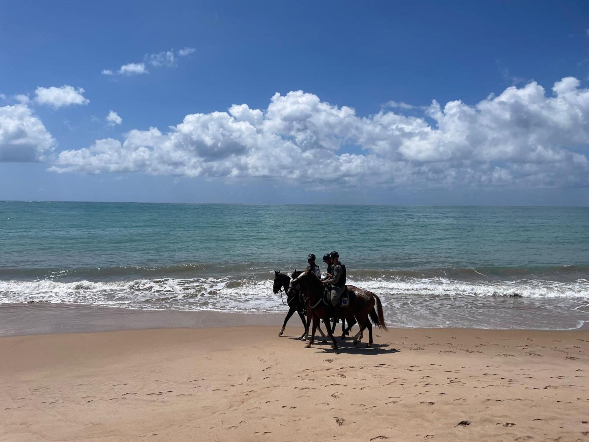 Romantic Sea W/amazing Sea View - Directly On The Beach! * Maceió