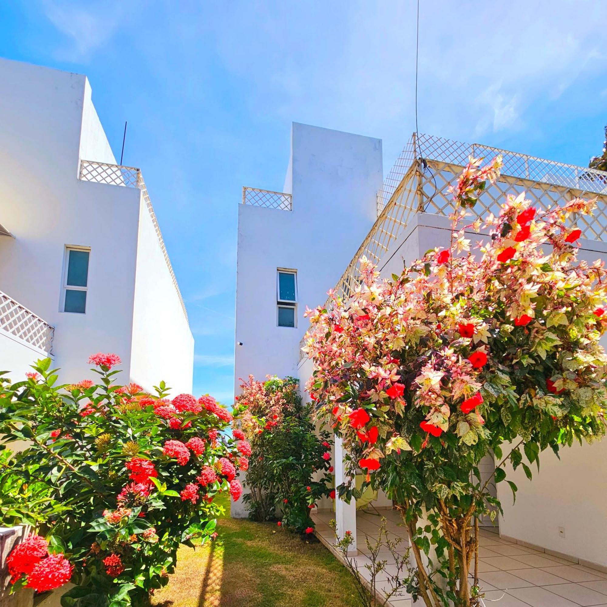 Romantic Sea W/amazing Sea View - Directly On The Beach! Pousada Maceió