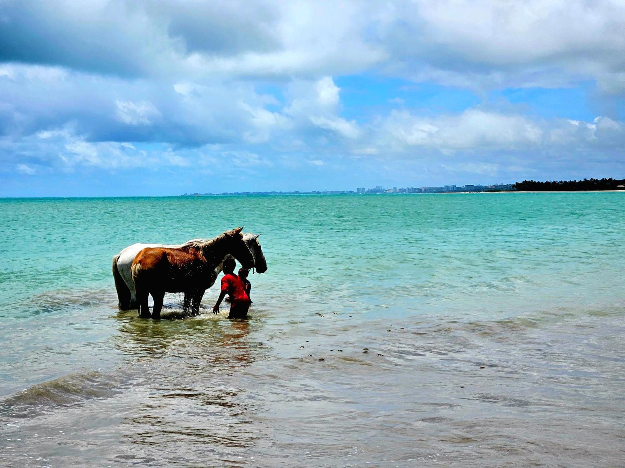 Romantic Sea W/amazing Sea View - Directly On The Beach! Pousada Maceió